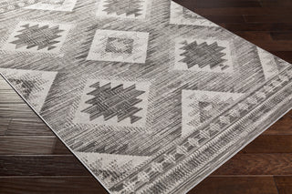 Surya Rafetus ETS-2335 Area Rug  Feature