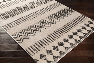 Surya Rafetus ETS-2340 Area Rug  Feature