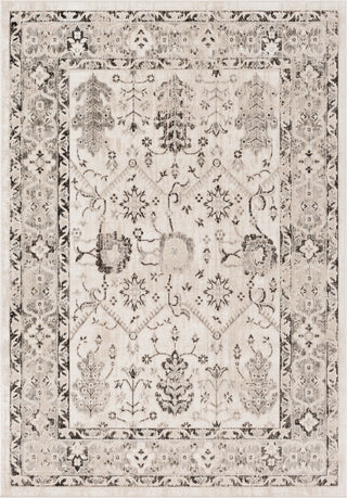 Surya Rafetus ETS-2347 Area Rug main image