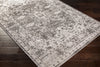 Surya Rafetus ETS-2350 Area Rug  Feature