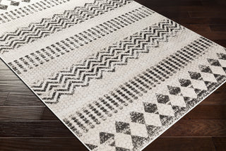 Surya Rafetus ETS-2351 Area Rug  Feature