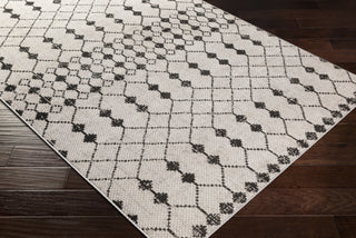 Surya Rafetus ETS-2353 Area Rug  Feature