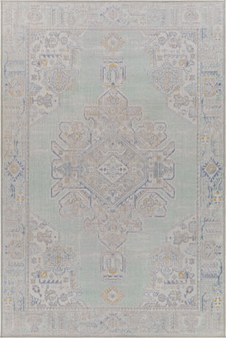 Surya Rafetus ETS-2364 Area Rug main image