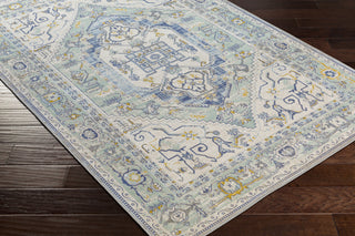 Surya Rafetus ETS-2366 Area Rug Corner Shot