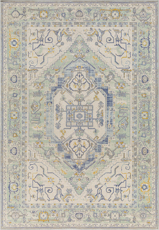 Surya Rafetus ETS-2366 Area Rug main image