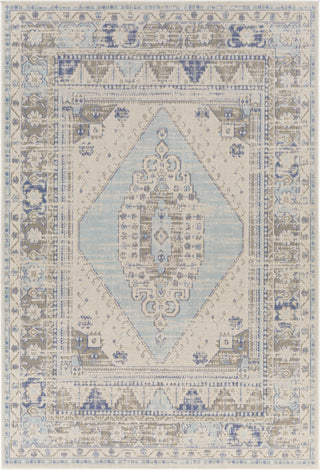 Surya Rafetus ETS-2370 Area Rug main image