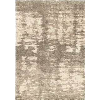 Orian Rugs Euphoria Brume Clouds Gray Area Rug main image