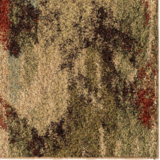 Orian Rugs Euphoria Arcadia Multi Area Rug Close Up