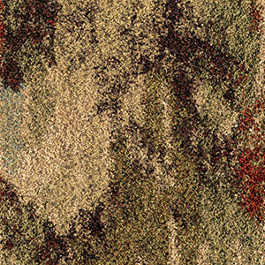 Orian Rugs Euphoria Arcadia Multi Area Rug Swatch