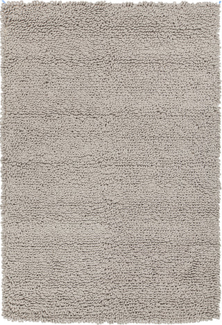 Chandra Evelyn EVE-38601 Taupe Area Rug main image