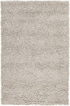 Chandra Evelyn EVE-38602 Silver Area Rug main image