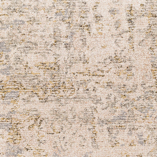 Surya Evoke EVK-2301 Area Rug Swatch