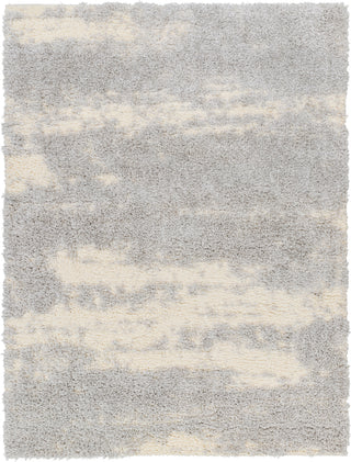 Surya Everton Plus EVP-2301 Area Rug main image