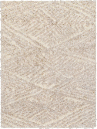 Surya Everton Plus EVP-2302 Area Rug main image