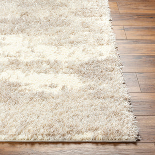 Surya Everton Plus EVP-2304 Area Rug Angle