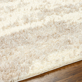 Surya Everton Plus EVP-2304 Area Rug Detail