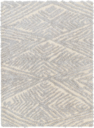 Surya Everton Plus EVP-2305 Area Rug main image