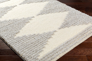 Surya Everton Plus EVP-2307 Area Rug Corner Shot