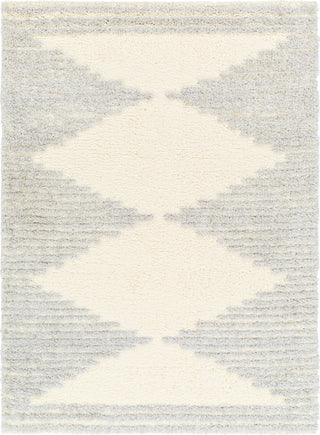 Surya Everton Plus EVP-2307 Area Rug main image