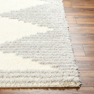 Surya Everton Plus EVP-2307 Area Rug Angle