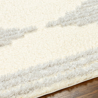 Surya Everton Plus EVP-2307 Area Rug Detail