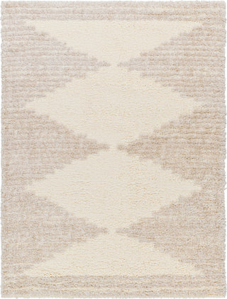 Surya Everton Plus EVP-2308 Area Rug main image