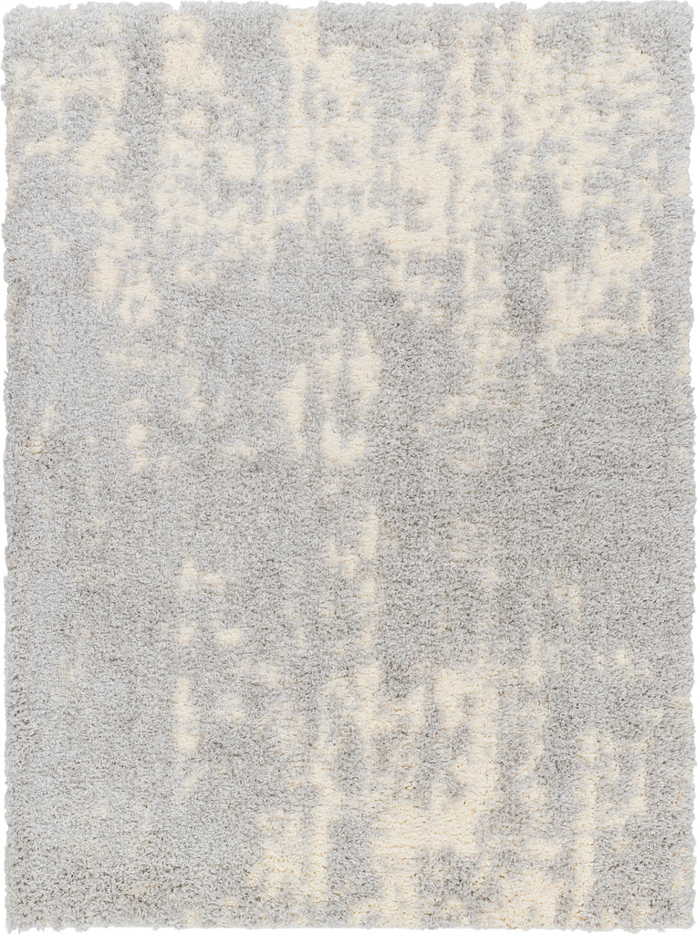Surya Everton Plus EVP-2310 Area Rug main image