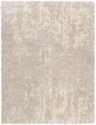 Surya Everton Plus EVP-2311 Area Rug main image