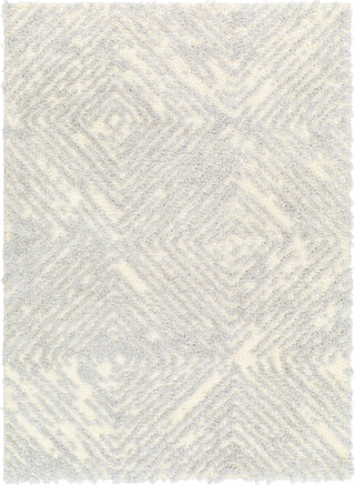 Surya Everton Plus EVP-2312 Area Rug main image