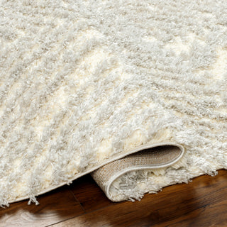 Surya Everton Plus EVP-2312 Area Rug Pile