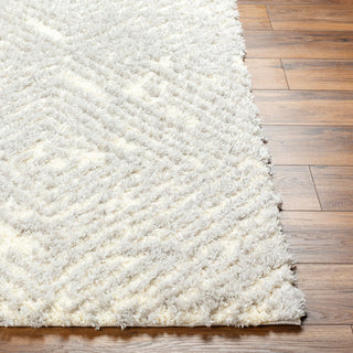 Surya Everton Plus EVP-2312 Area Rug Angle