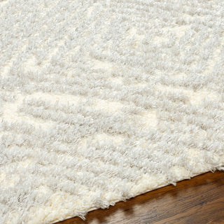 Surya Everton Plus EVP-2312 Area Rug Detail