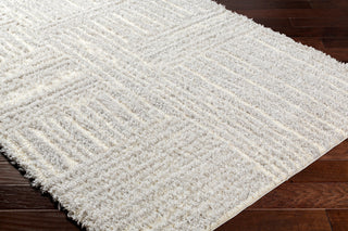 Surya Everton Plus EVP-2314 Area Rug Corner Shot
