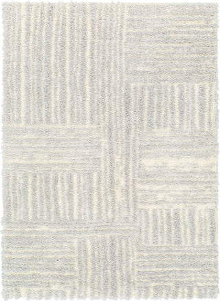 Surya Everton Plus EVP-2314 Area Rug main image