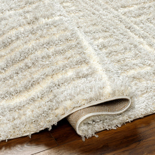 Surya Everton Plus EVP-2314 Area Rug Pile