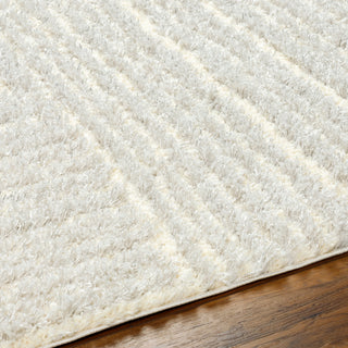 Surya Everton Plus EVP-2314 Area Rug Detail