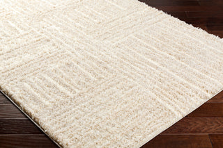 Surya Everton Plus EVP-2315 Area Rug Corner Shot