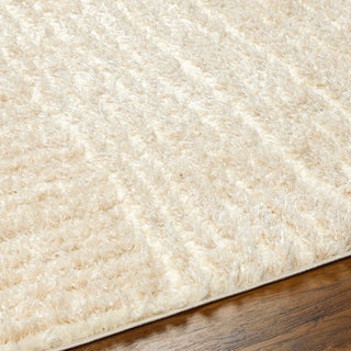 Surya Everton Plus EVP-2315 Area Rug Detail