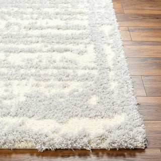 Surya Everton Plus EVP-2316 Area Rug Angle