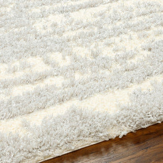 Surya Everton Plus EVP-2316 Area Rug Detail