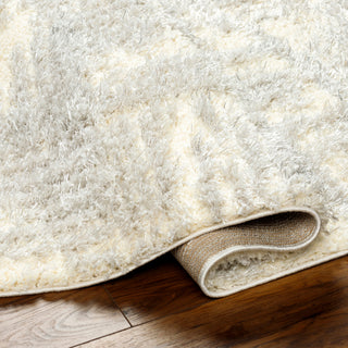 Surya Everton Plus EVP-2318 Area Rug Pile