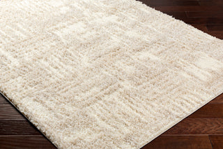Surya Everton Plus EVP-2319 Area Rug Corner Shot