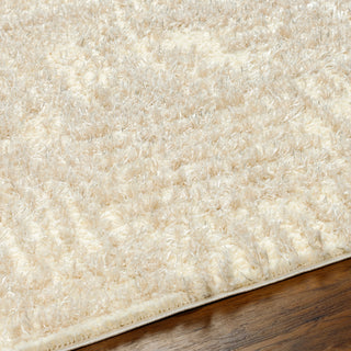 Surya Everton Plus EVP-2319 Area Rug Detail