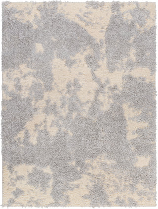 Surya Everton Plus EVP-2320 Area Rug main image