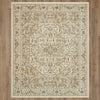Karastan Divina Exalted Grey Area Rug Main Image