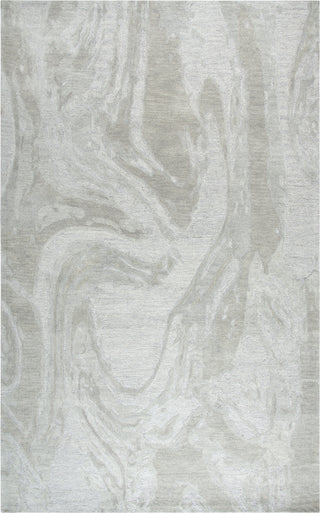 Rizzy Fifth Avenue FA116B Grey Area Rug main image