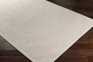 Surya Fabolous FAB-2302 Area Rug Corner Image