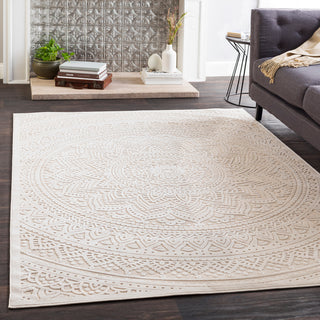 Surya Fabolous FAB-2302 Area Rug Room Image Feature