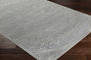 Surya Fabolous FAB-2303 Area Rug Corner Image