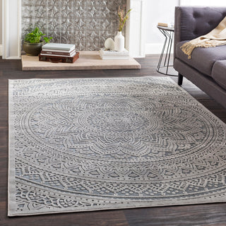 Surya Fabolous FAB-2303 Area Rug Room Image Feature